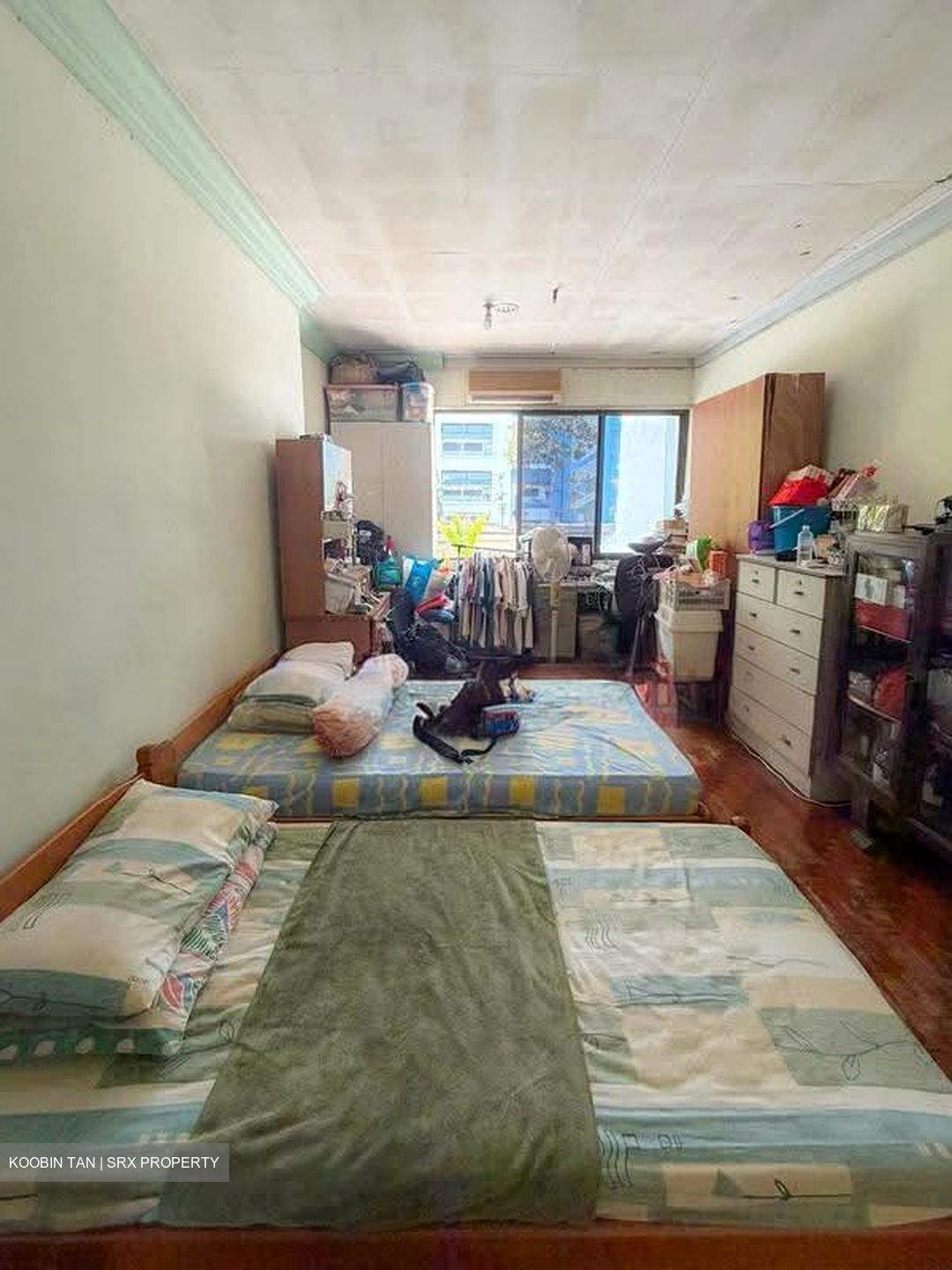 Canary Park (D16), Semi-Detached #614503591